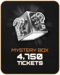 Silver Mystery Box
